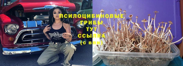 меф Армянск